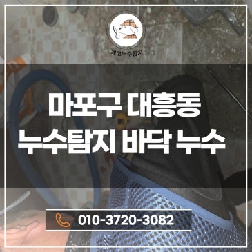 마포구 대흥동 누수탐지 – 욕실 바닥 누수 원인 정확히 찾았습니다
