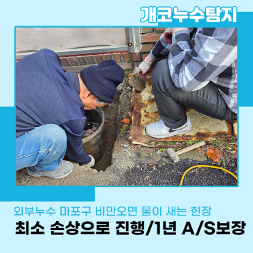 외부누수 마포구 비만 오면 물이 새던 원인부터 해결까지 현장 후기